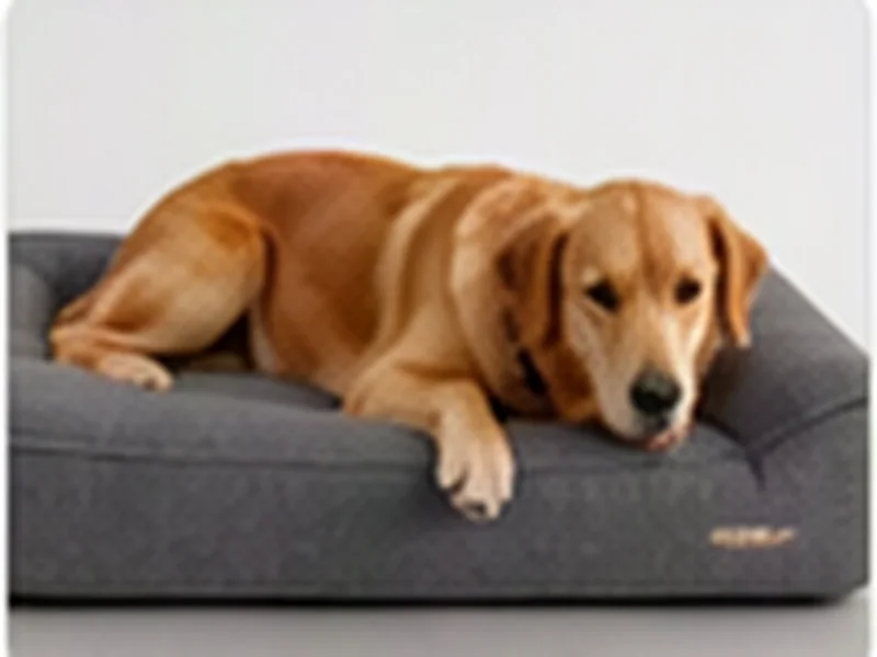 Ortho Dog Bed L